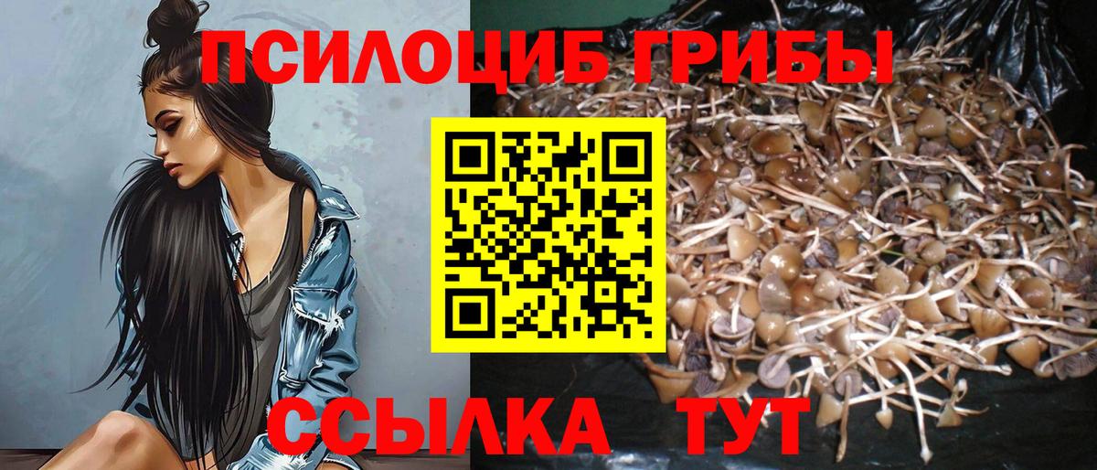 Галлюциногенные грибы Psilocybe Азнакаево