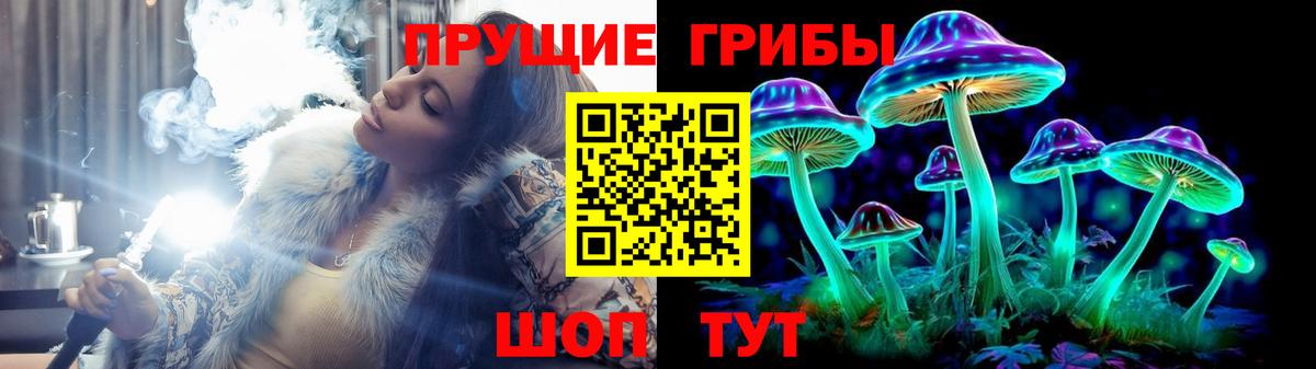 где продают   Вход с VPN  Азнакаево  Галлюциногенные грибы Psilocybe  Галлюциногенные грибы ЛСД 